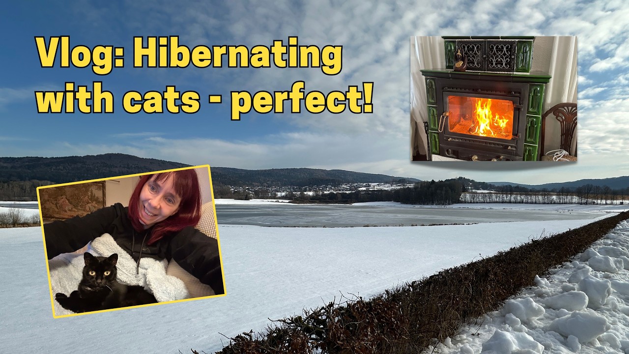 Vlog: Hibernating with cats (in other words, perfection!)