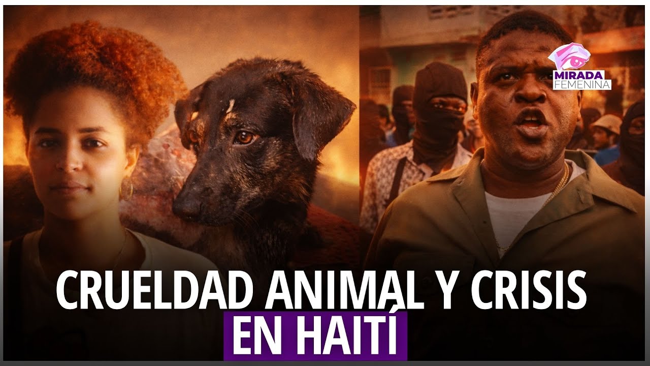 Crueldad animal y crisis en Haití bajo la lupa de Mirada Femenina