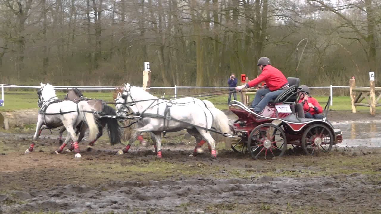 VAN DYCK, Thomas, BEL, CAI2 Ermelo NED 2016, Pony Four in hand, Marathon Ob 4