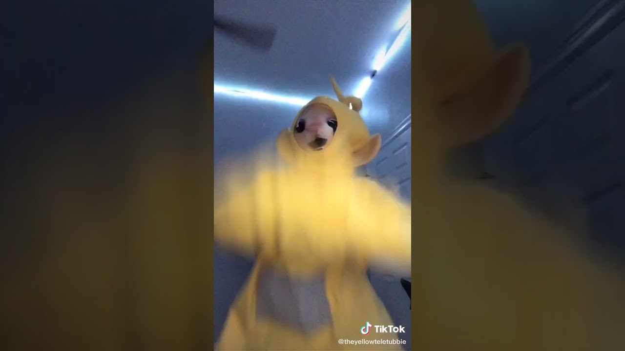 Cursed TikTok compilation