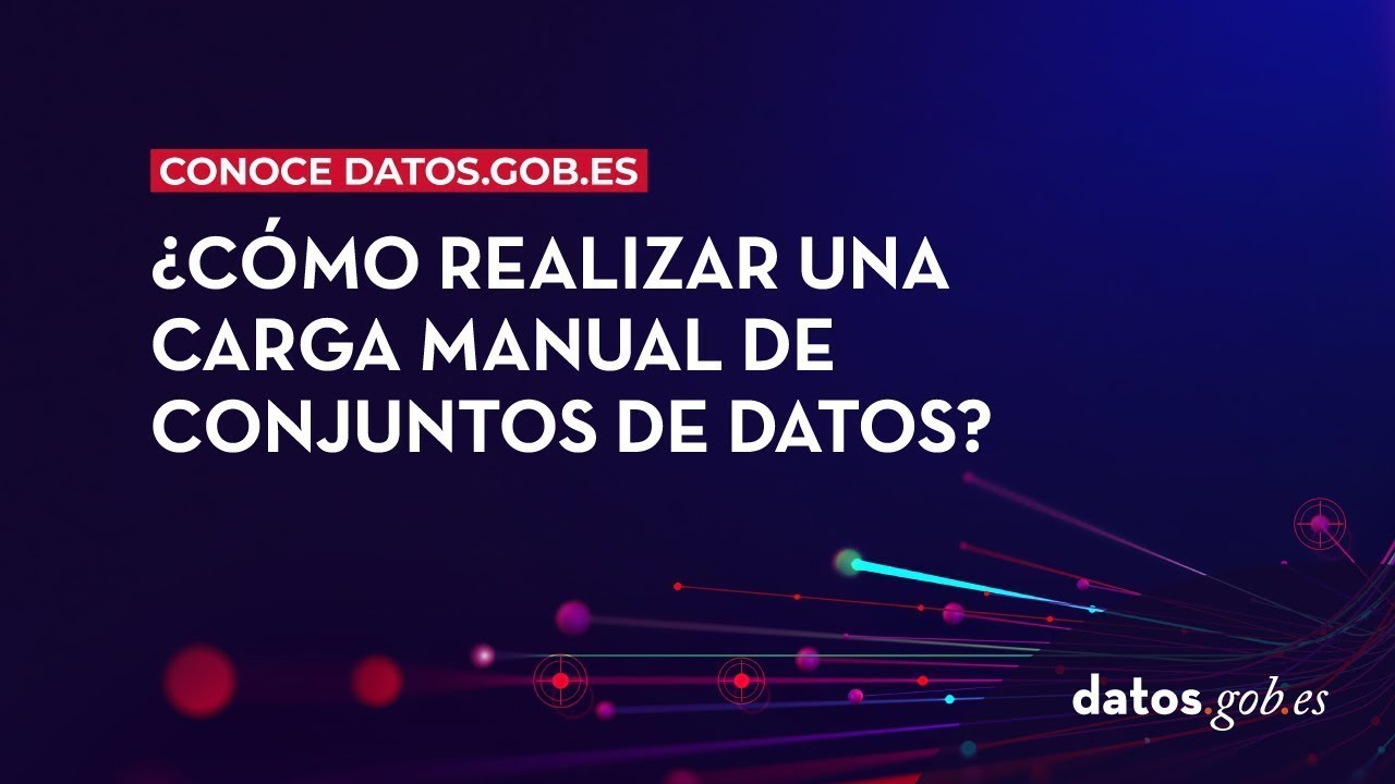 ¿Cómo realizar una carga manual de conjuntos de datos?