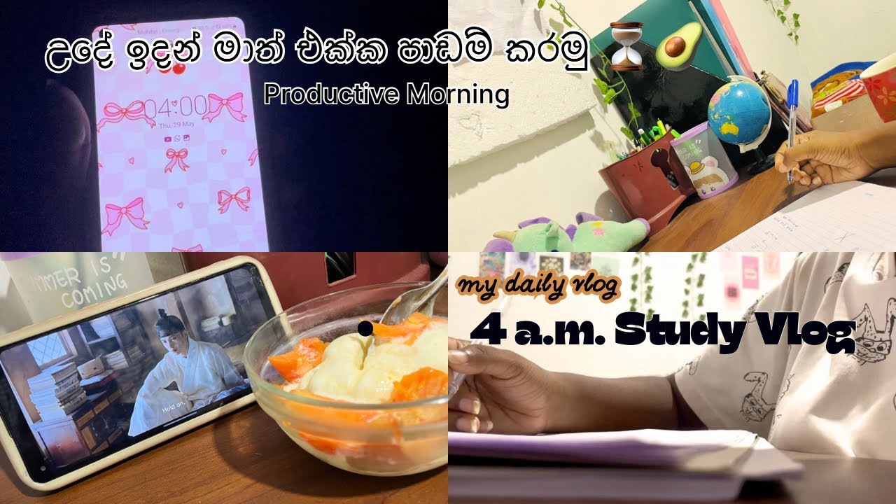 4a.m - 8a.m Morning Study Vlog😴⏳🌞 කම්මැලි නැතුව පාඩම් කරමු🌷| productive morning #dayinmylife #study