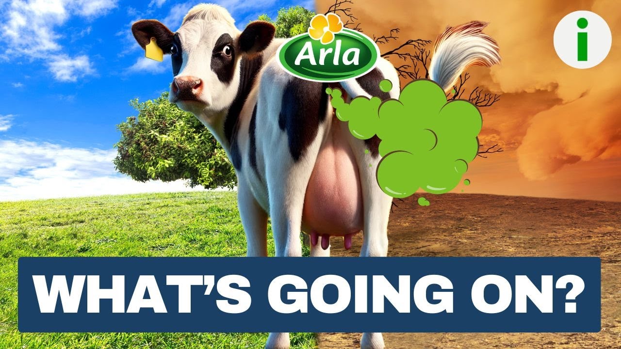 Bovaer and the Arla Foods Controversy: Climate Change vs. Safety