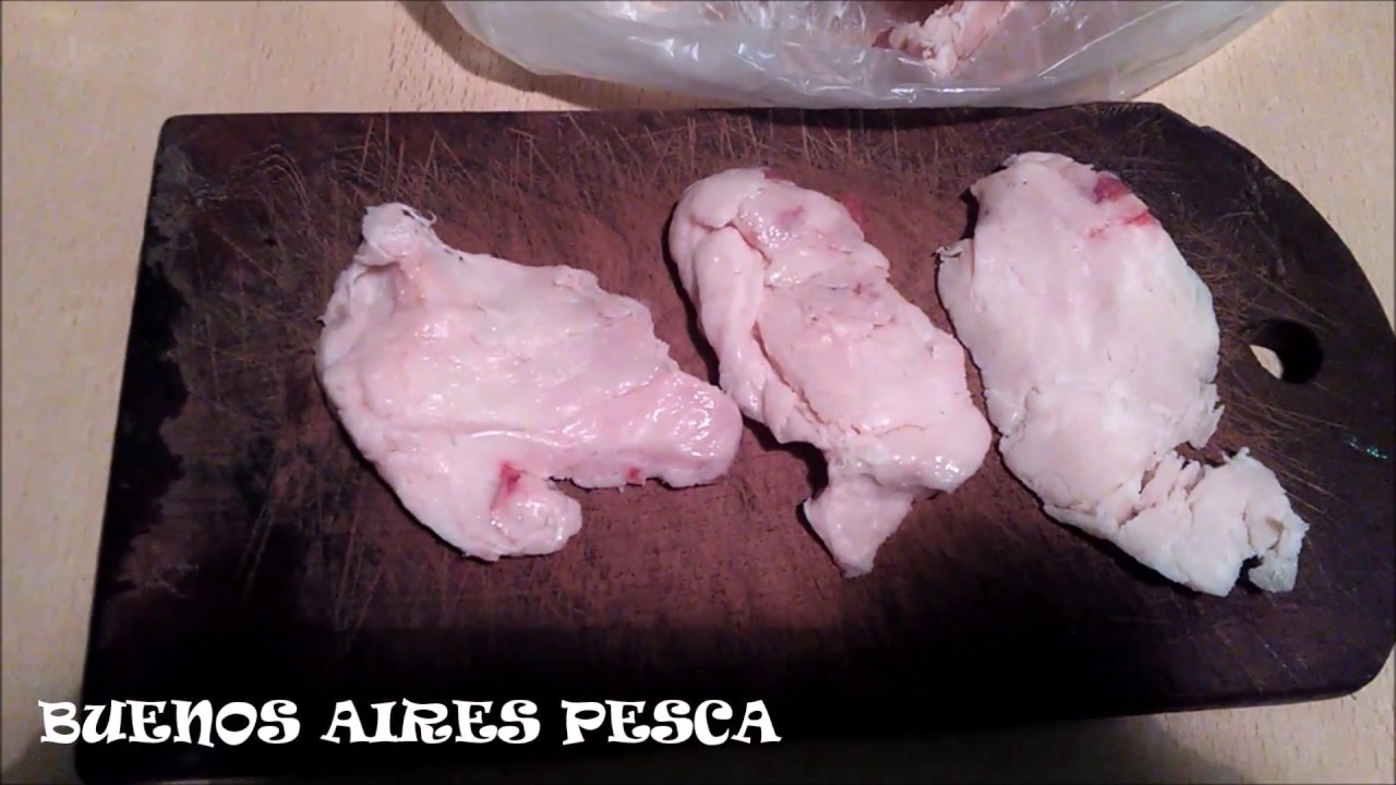 Secreto de carnada para pescar bogas y bagres