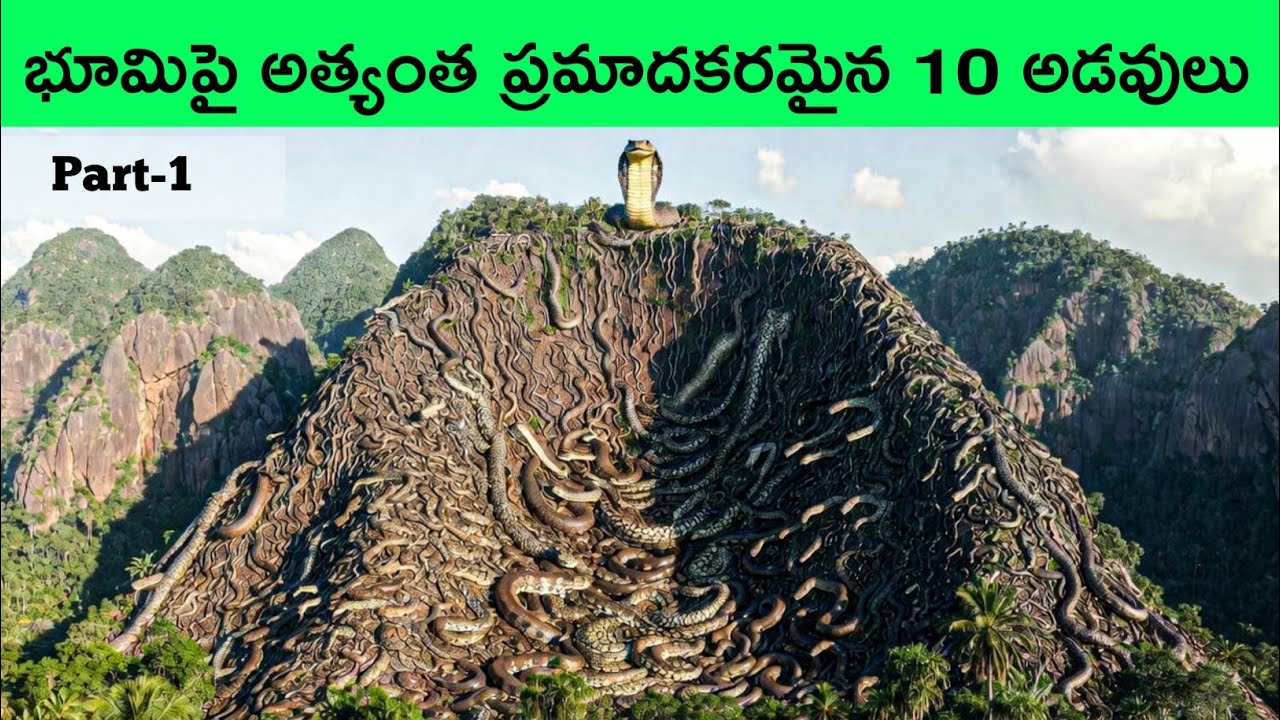 Top 10 Mysterious forests in the world | mysterious jungles in the world | BMC facts | Telugu facts
