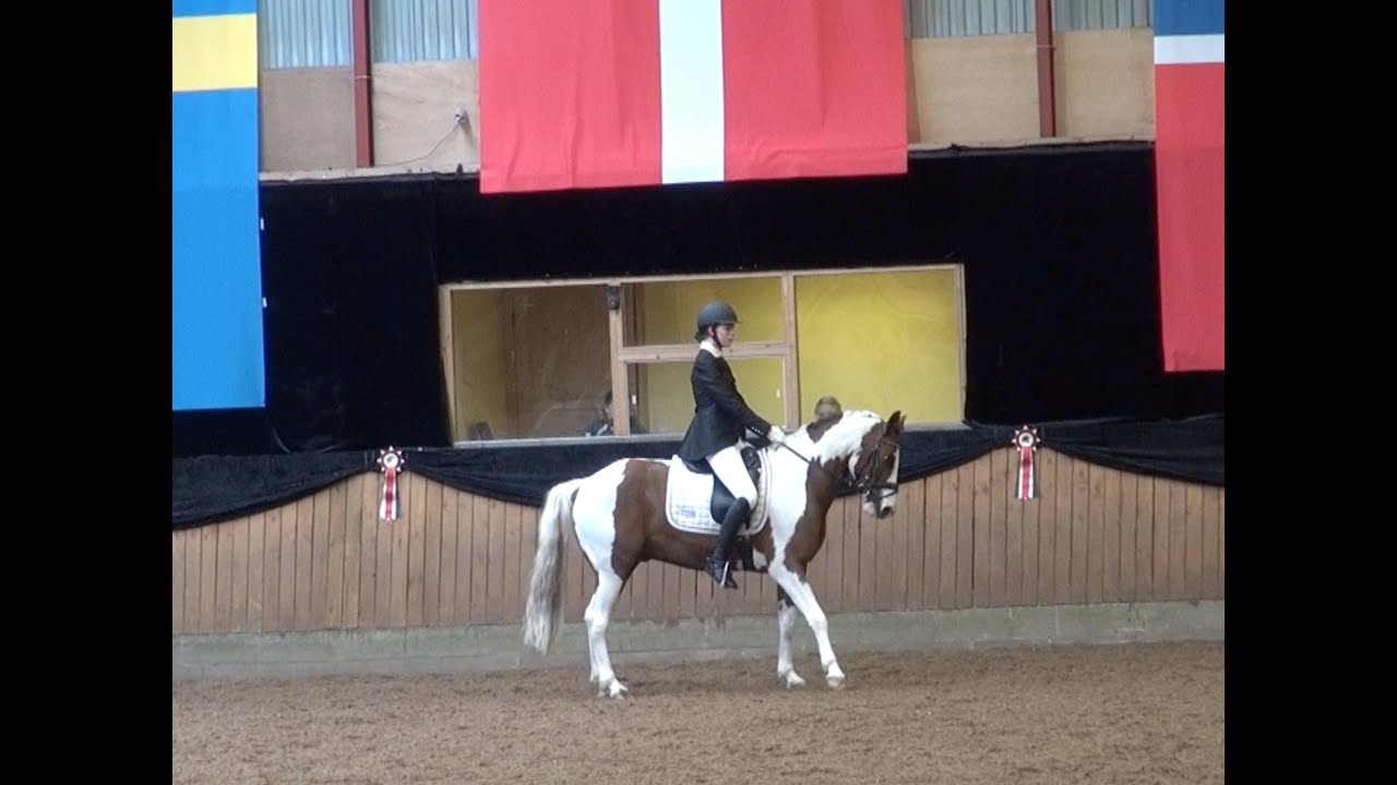 HorseMovie.dk® Dressur PONY #42