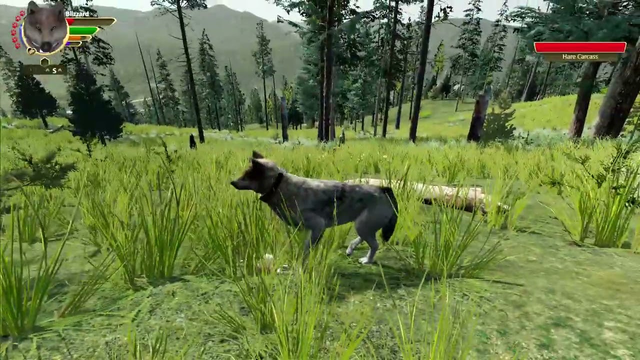 WolfQuest 3 Nightmares-Actual Starvation Nightmares?!