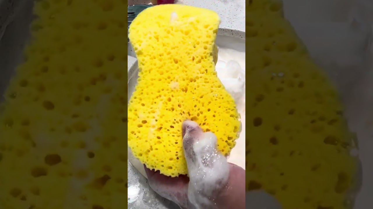 Sponge squeezing 🧽🫧 #spongeasmr #spongesqueeze #soapyspongesqueezing #spongeasmrcommunity #relax