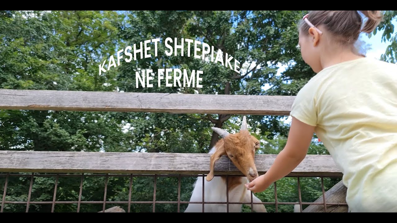 Kafshet Shtepiake Ne Ferme - Per Femije