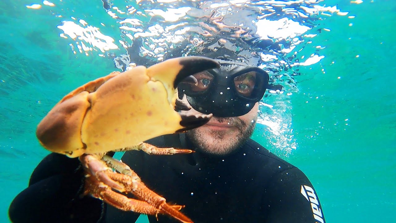 Freediving for lobster, crabs & underwater photography - amazing vis in East Scotland