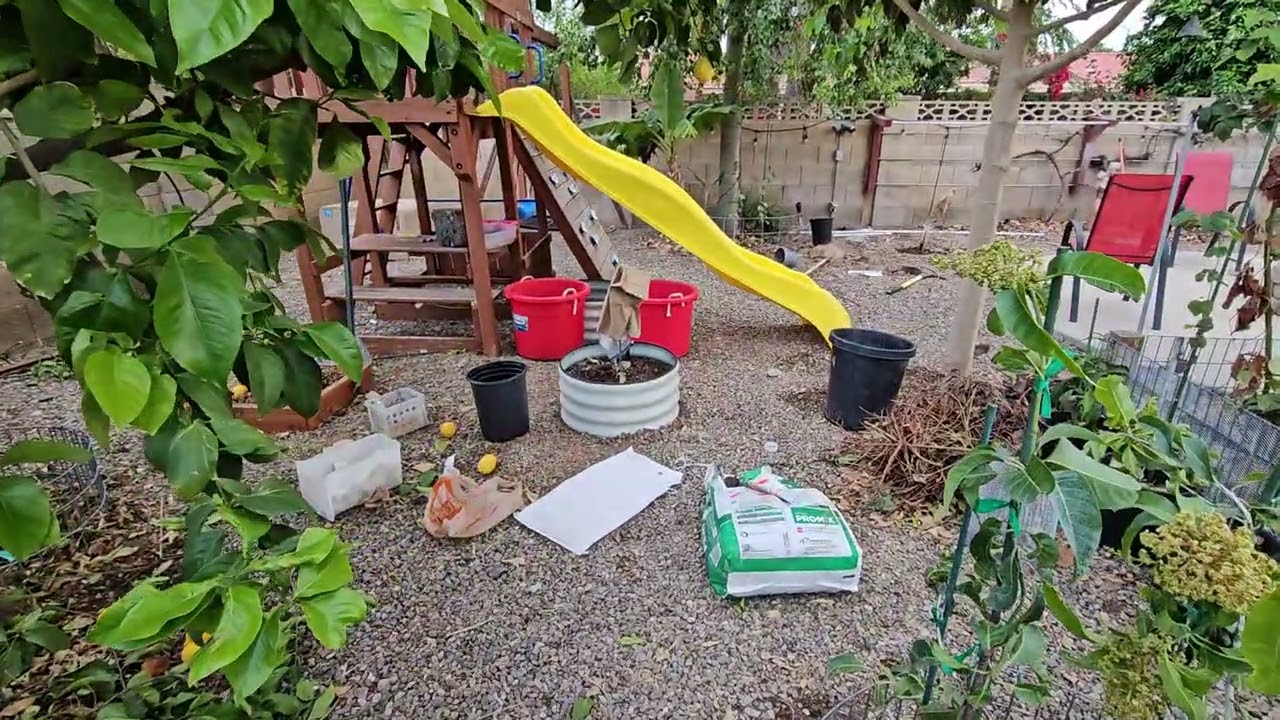 Spring spring yard tour