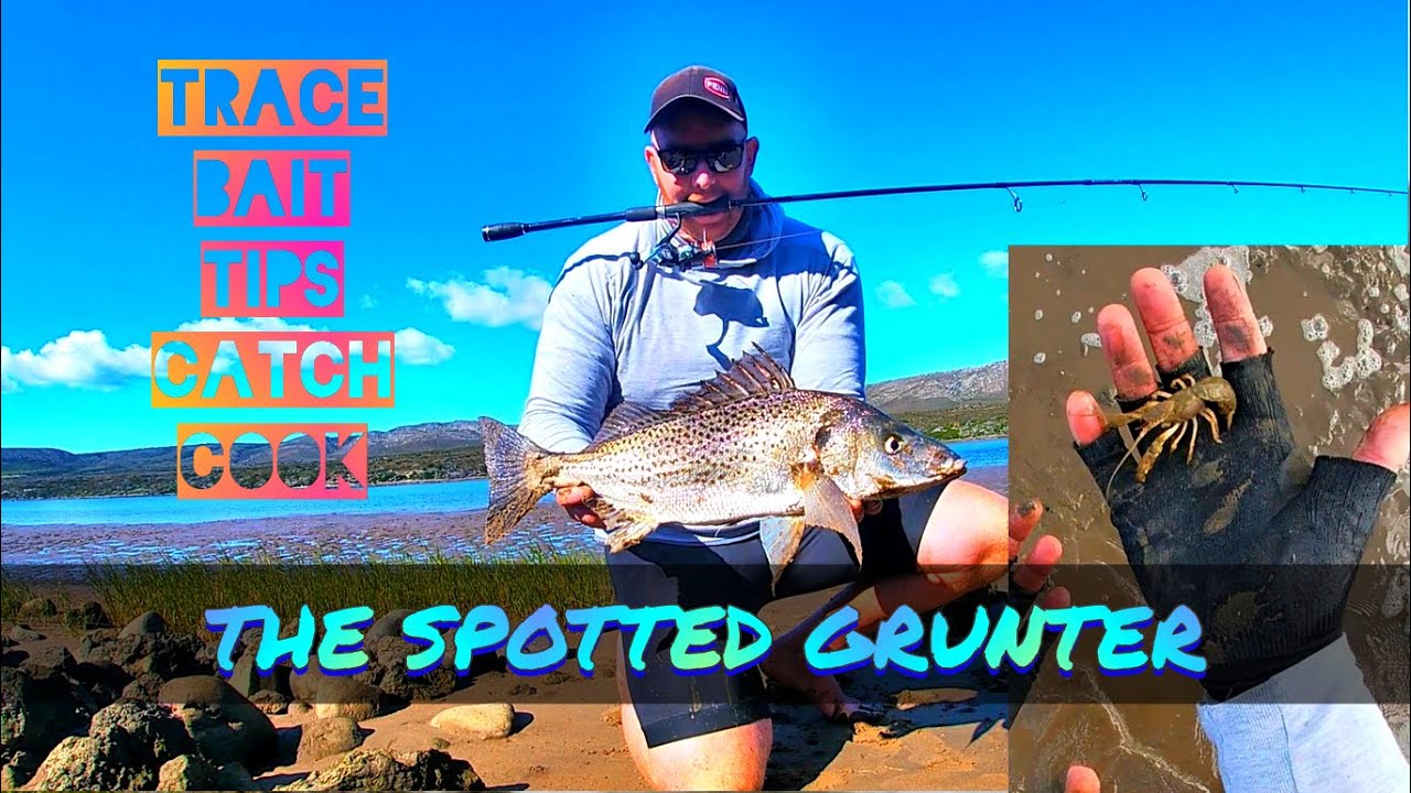 How to fish for the Spotted Grunter  PART 1/3