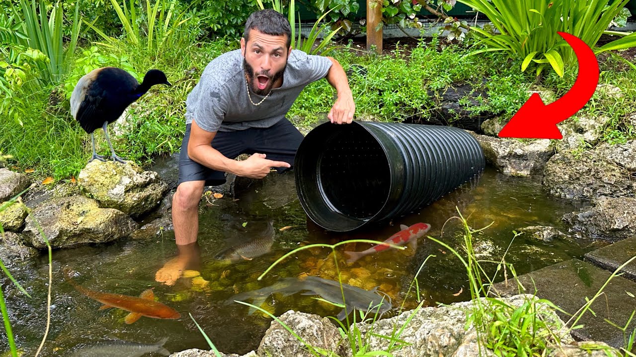 I FOUND Something LIVING In This!