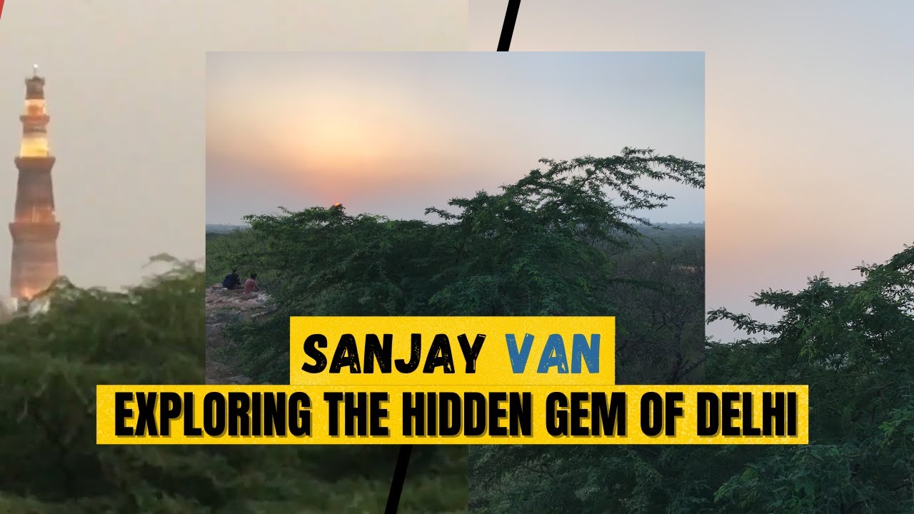 Sanjay Van |Qila Lal Kot | Kila Rai Pithoragarh | Qutub Viewpoint | Aravali forest #sanjay_van