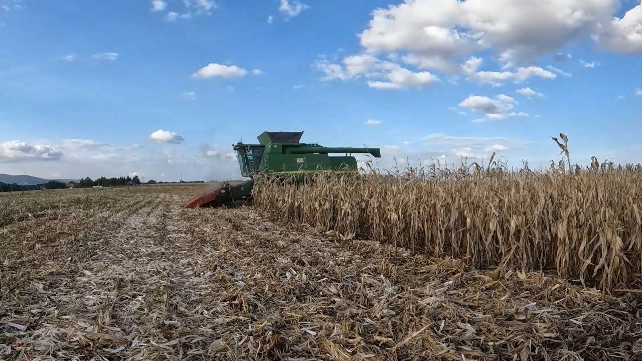Újra aratunk megy a John Deere kombájn esőszünet után