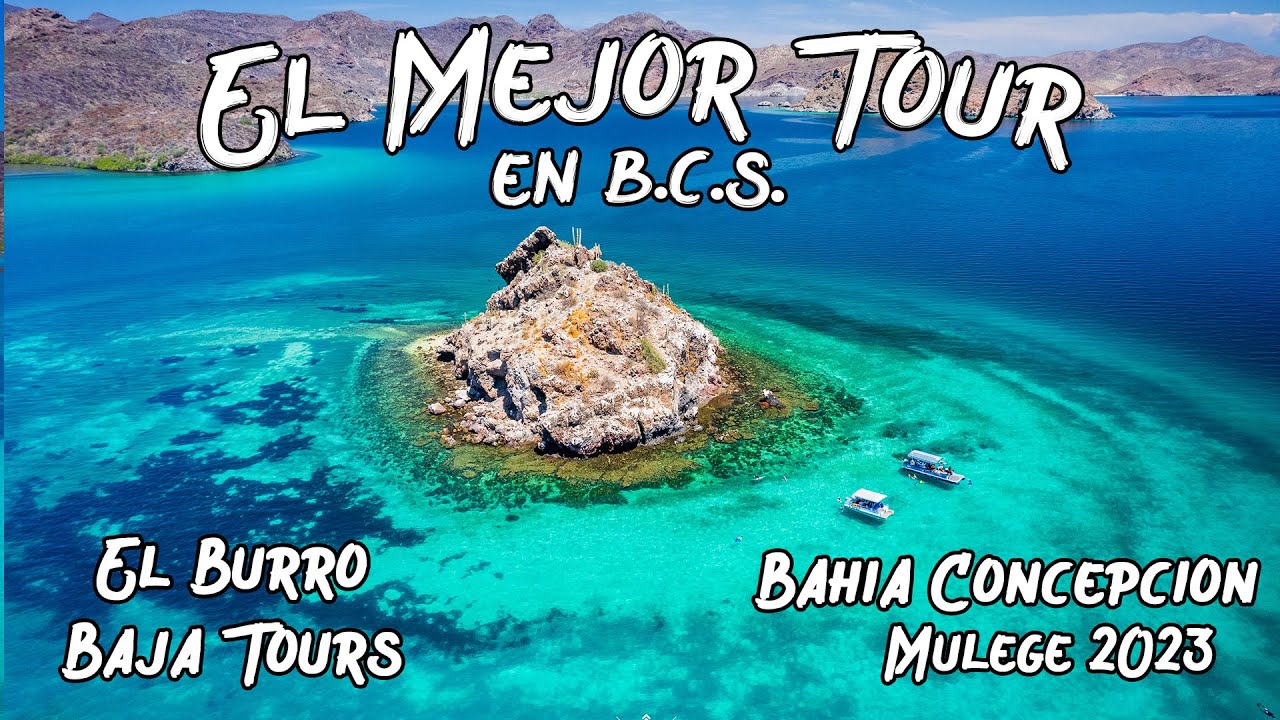 El Mejor Tour de B.C.S. está en Mulegé | Verano 2023 - El Burro Baja Tours