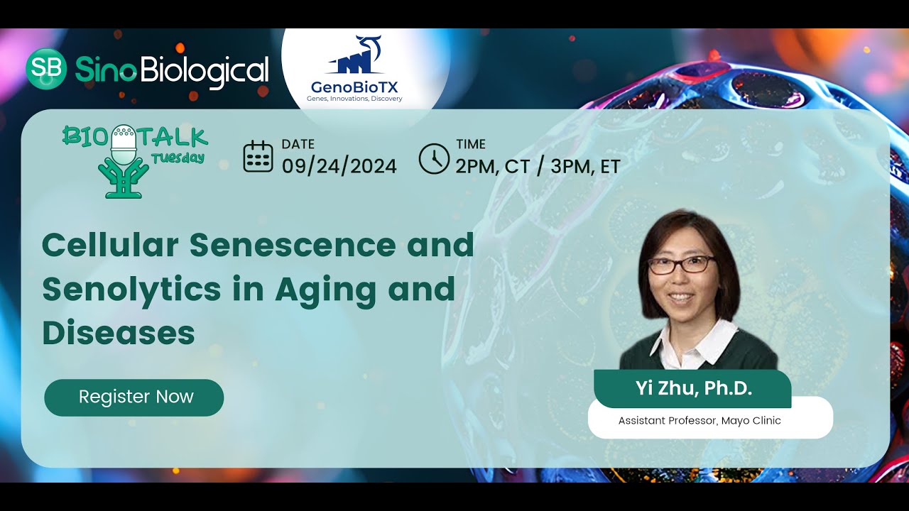 Cellular Senescence and Senolytics in Aging and Diseases