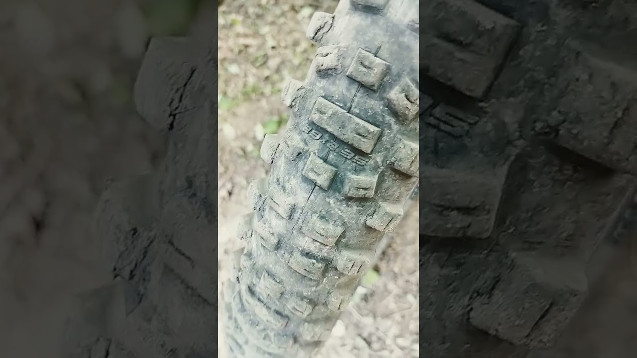 SCHWALBE HANS DAMPF #mtb #shorts