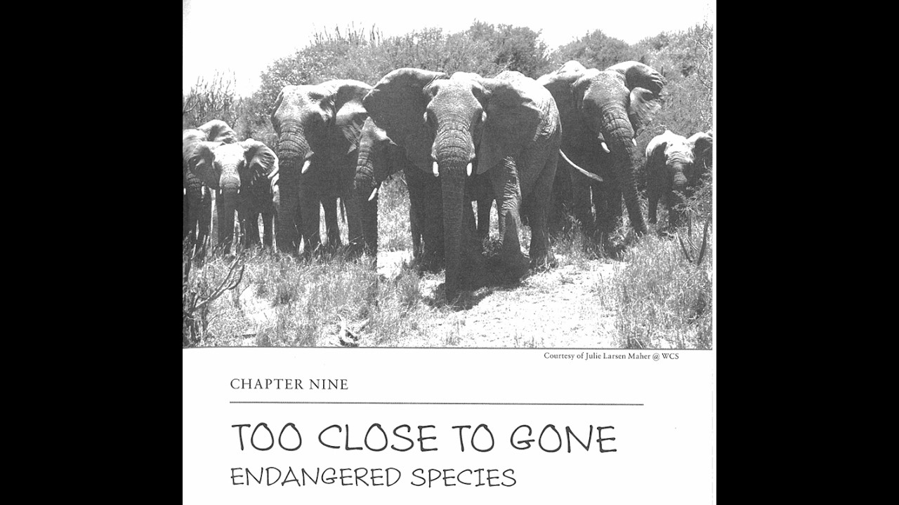 Ch9.0: Too Close To Gone, Endangered Species