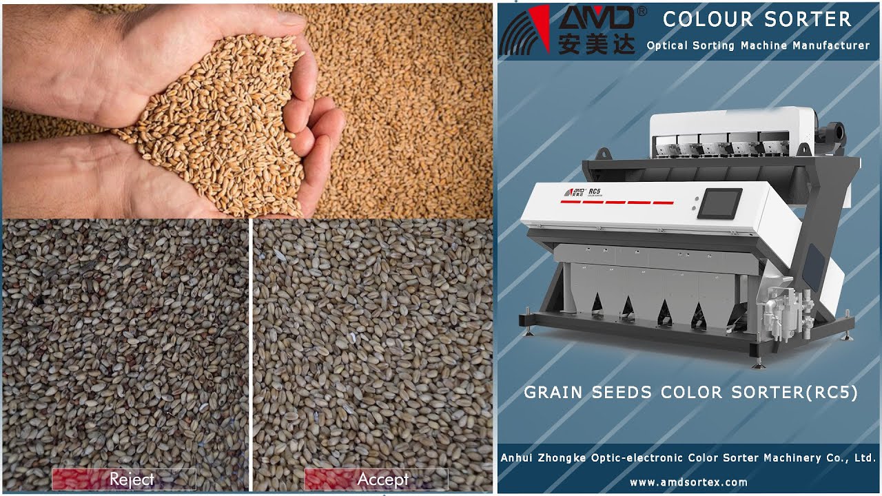 AMD Sortex(RC5) Wheat Color Sorter Machine Price for Grain Crop Seeds Optical Sorting