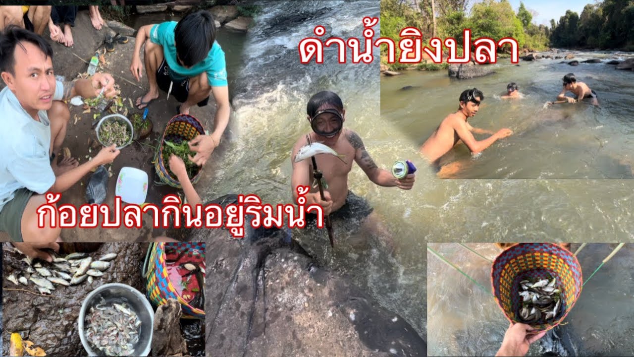 ดำน้ำยิงปลากินข้าวริมน้ำ￼บรรยากาศโคตรดี