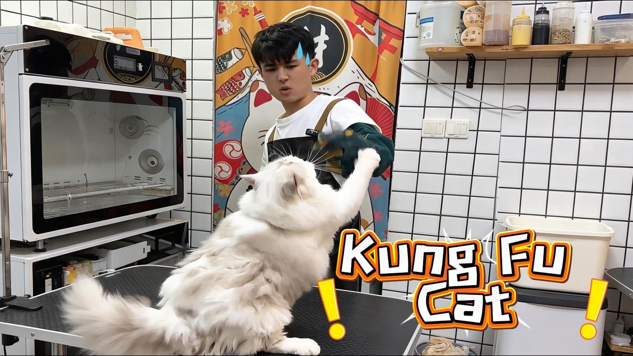 After Meeting This Cat, I Realized I Was Too Naive