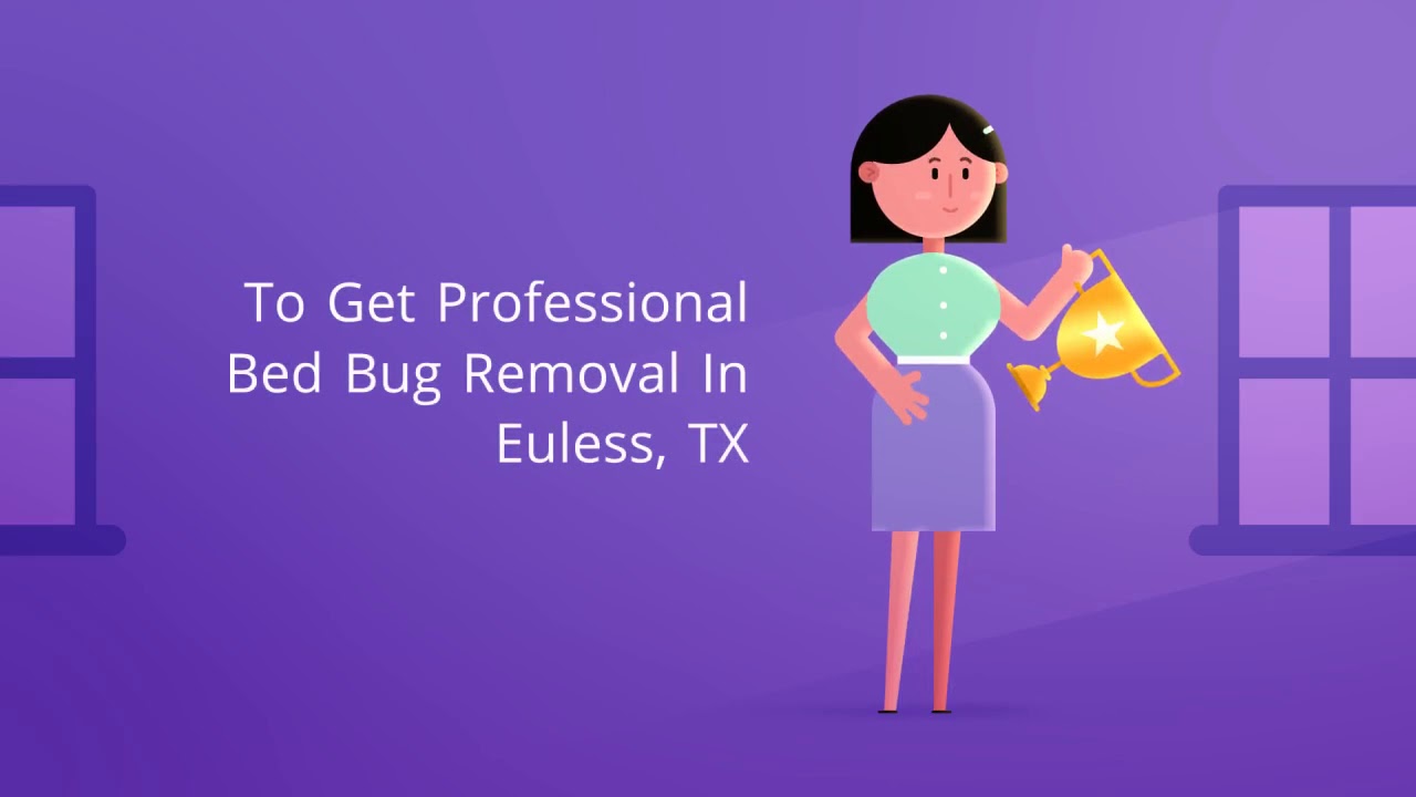 OCP Bed Bug Exterminator Euless, TX - Bee Removal