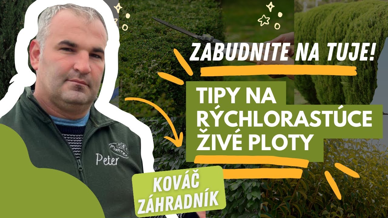ZABUDNITE NA TUJE: TIPY NA RÝCHLORASTÚCE A ODOLNÉ ŽIVÉ PLOTY