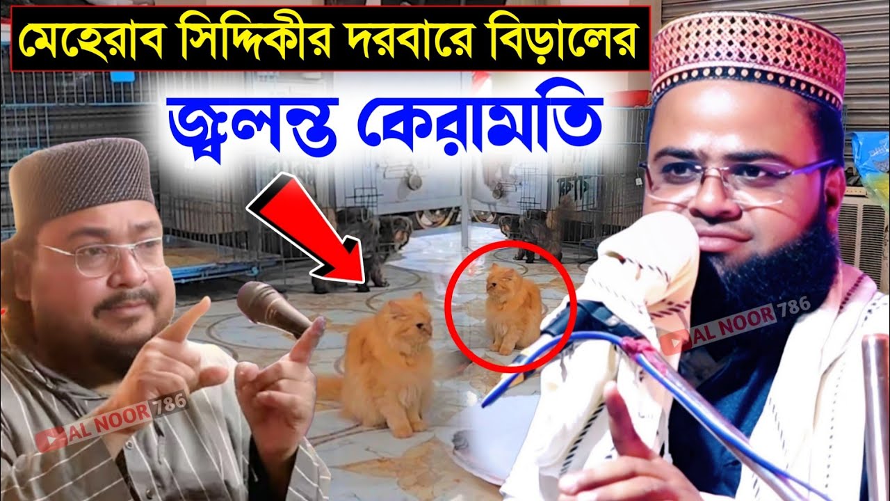 মেহরাব সিদ্দিকীর দরবারে বিড়ালের জ্বলন্ত কেরামতি┇মাহে রমজানের গুরুত্বপূর্ণ ওয়াজ┇মাওঃ জুলফিকার আজিজী