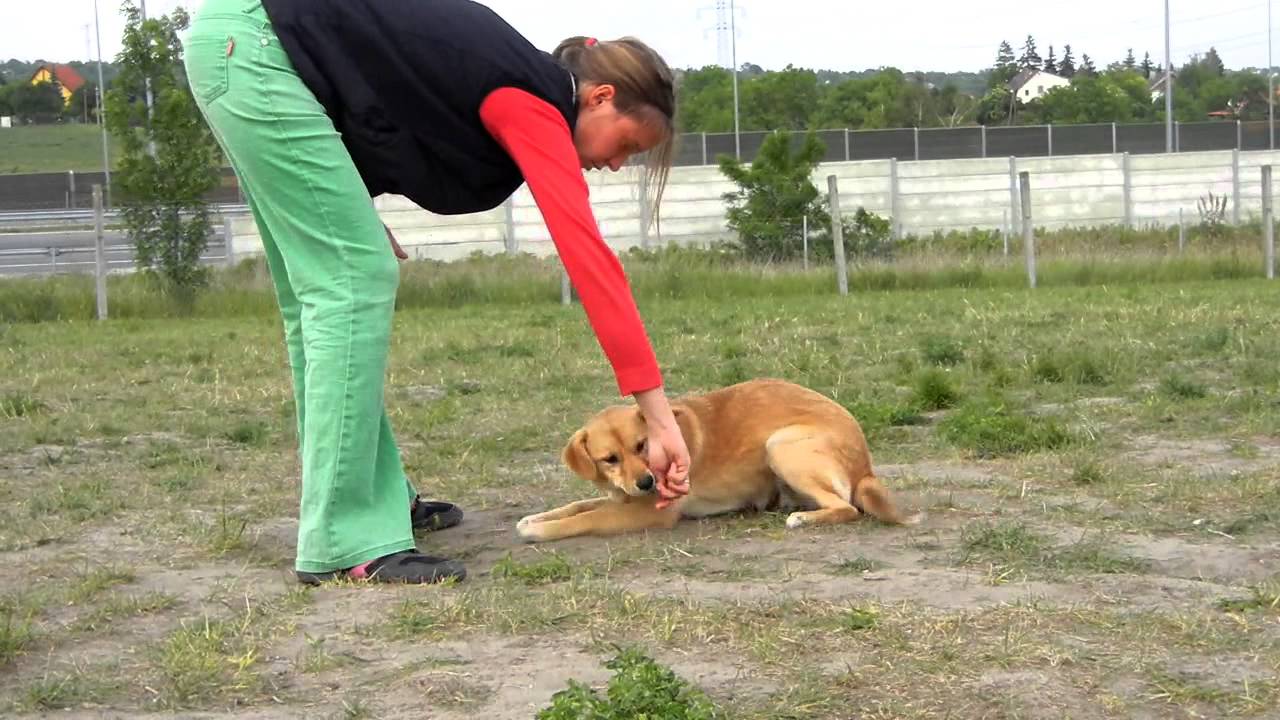 Tipp videó - Hempergés