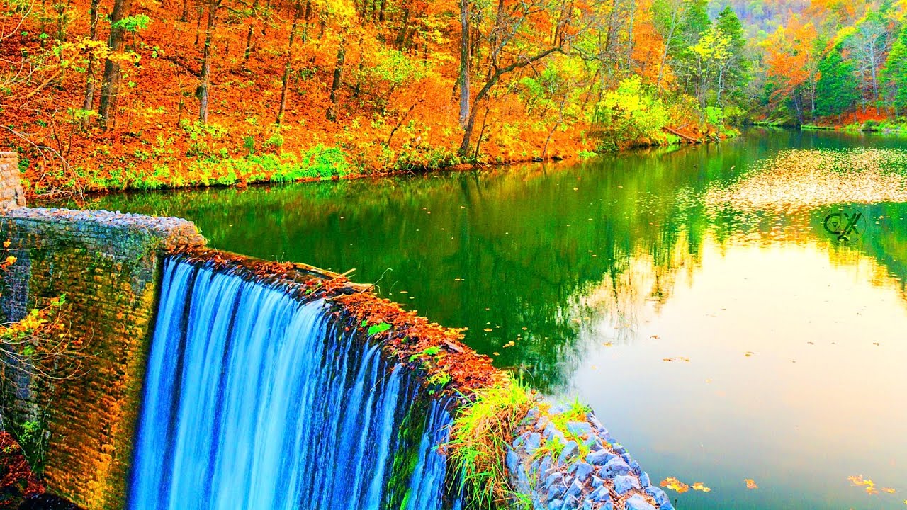 MagiCXbeats - Bubba Kush