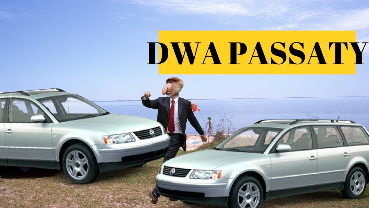 Janusz - DWA PASSATY (Łobuzy - Oczy jak pińć złoty PARODIA) | Atsydorap