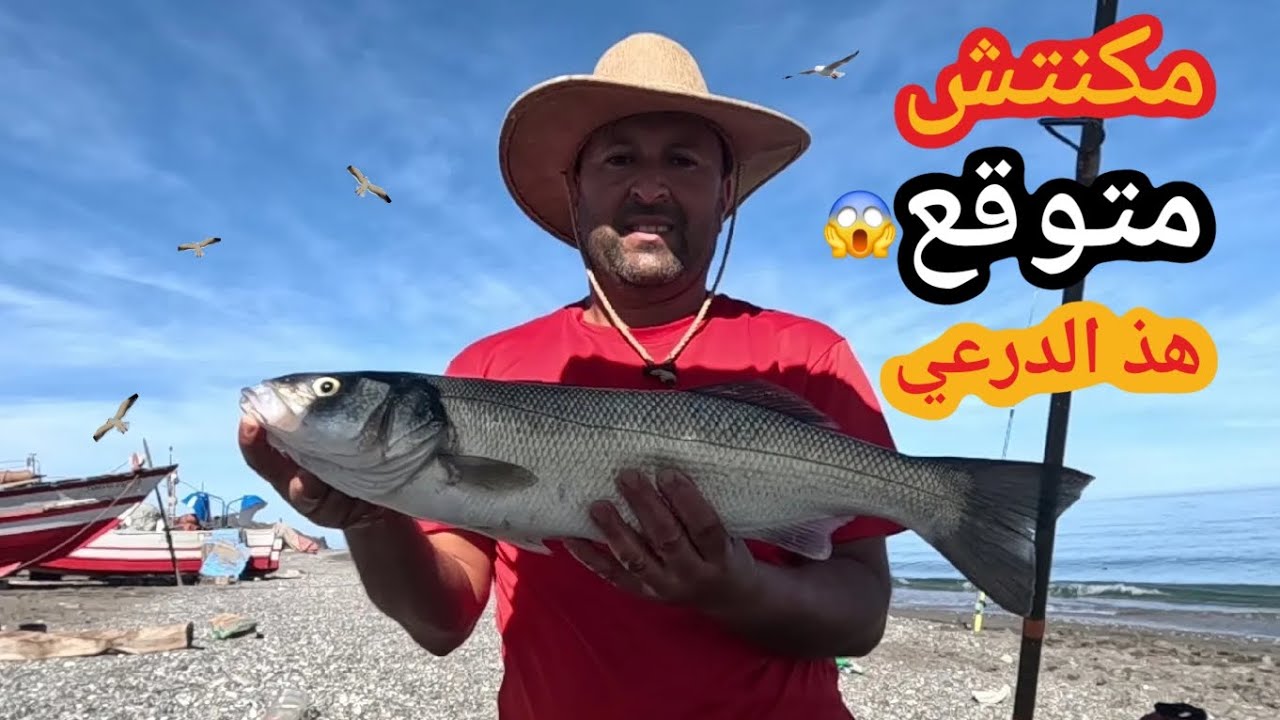 #البداية نارية في الشمال السمك الأبيض من أول يوم🐟