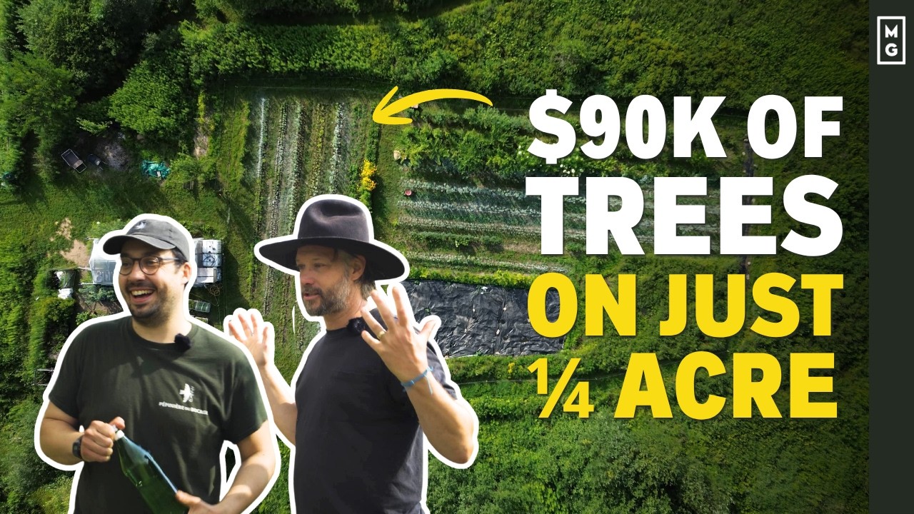This Micro Tree Nursery Is Epic! Big Profits, Tiny Space | Market Gardening BUT WITH TREES!