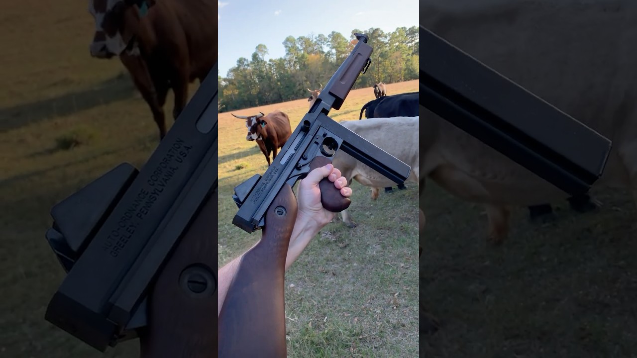 M1 Thompson Auto-Ordnance