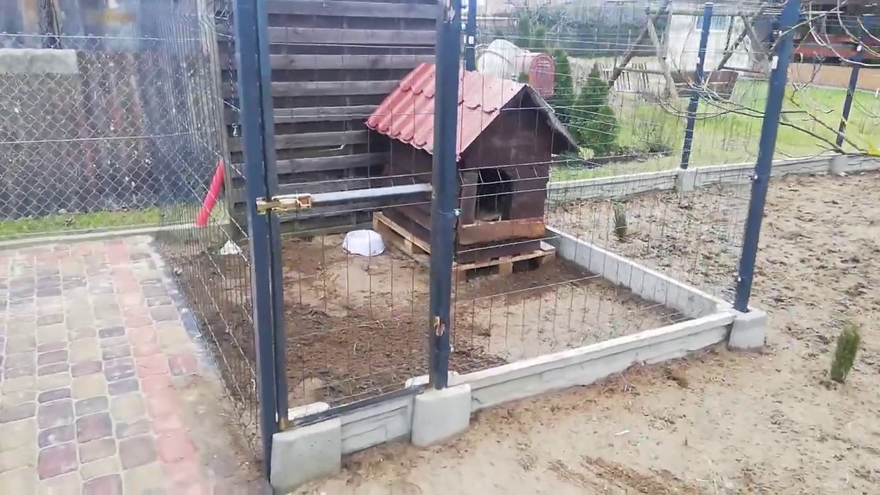 Kojec dla psa!!! Nowe koła do przyczepy od Tira !!! Ursus C 330 i C 360