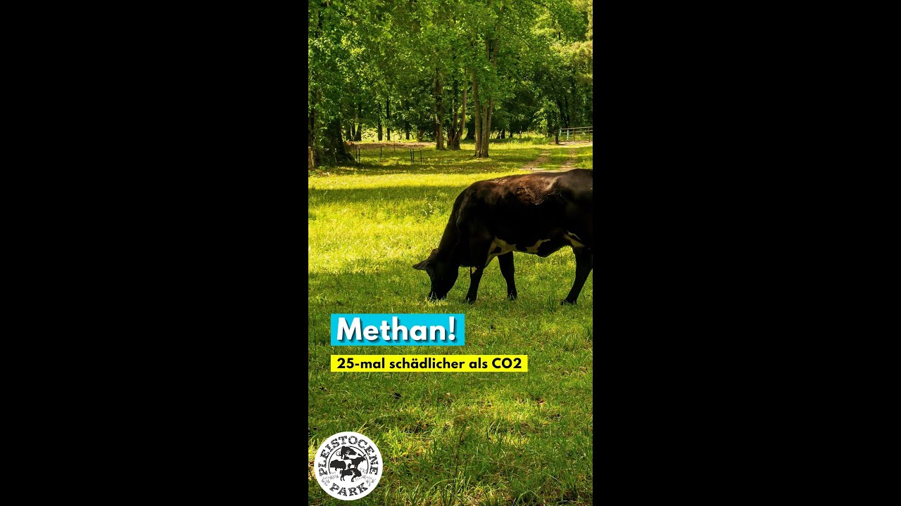 💡 Methan &ndash; ein Treibhausgas 25-mal sch&auml;dlicher als CO2 🌍 | Pleistocene & Permafrost Stiftung