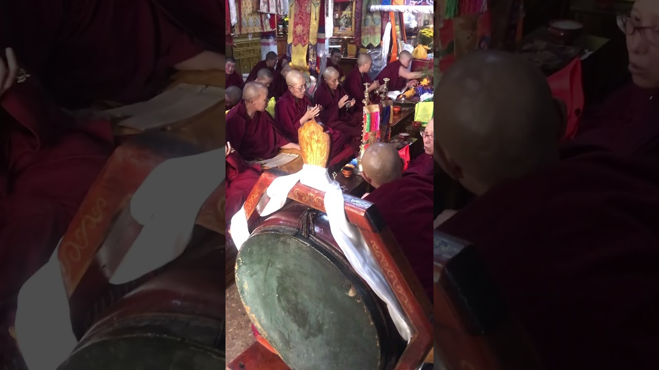 Female Buddhist Monks
