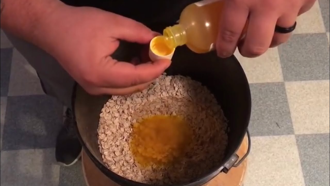 Как приготовить наживку для карпа из овса.