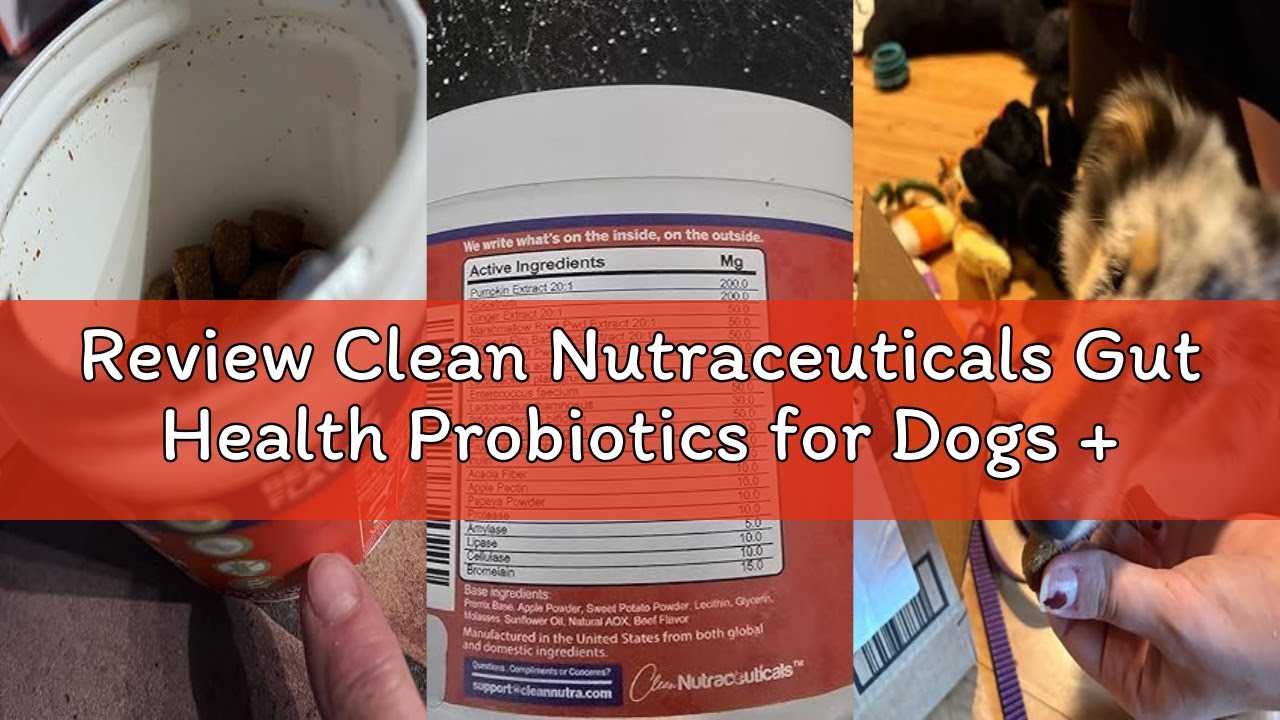 Review Clean Nutraceuticals Gut Health Probiotics for Dogs + Pumpkin Colostrum Digestive Enzymes Gin