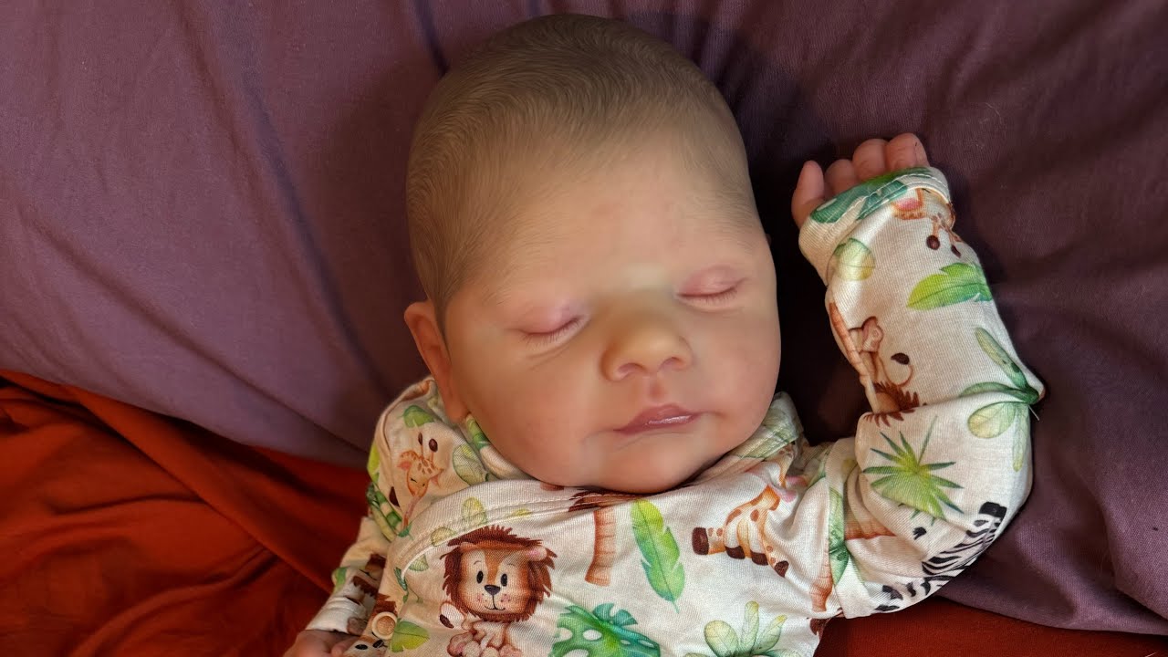 Quick chatty video with reborn baby Lucas by Cassie Brace 🦒 🦓 🦁 
