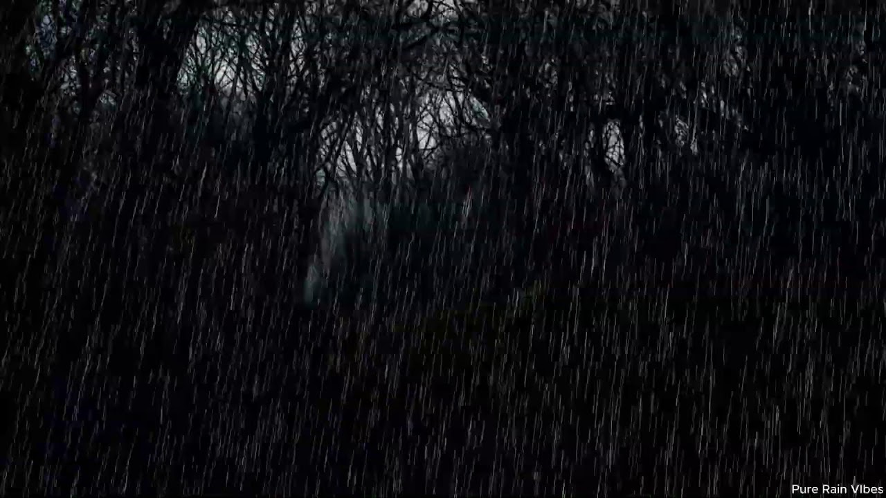 Soothing Rain Ambience for Sleep  Anxiety Relief