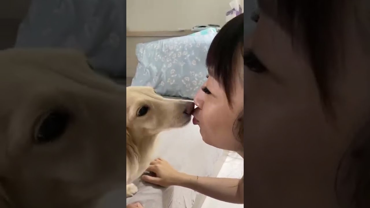Passionate doggy Dooffy loves morning kisses.[早安早安~]