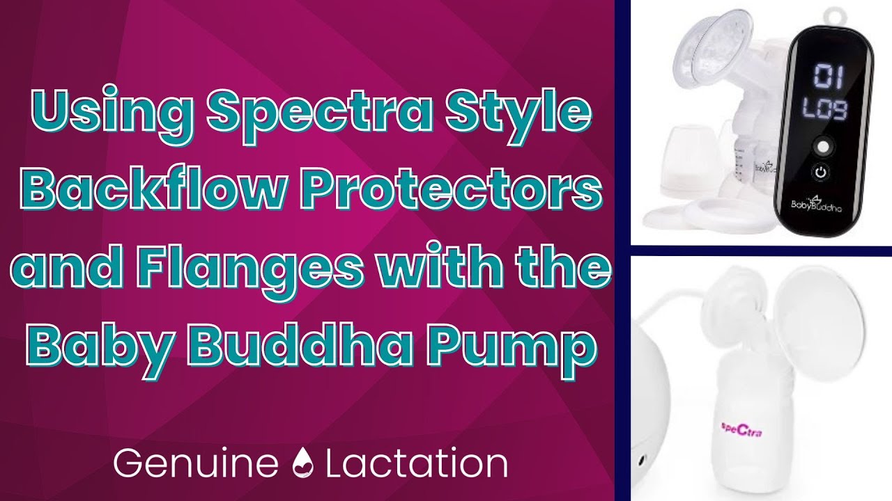 Использование защит от обратного потока и фланцев Spectra Style с насосом Baby Buddha