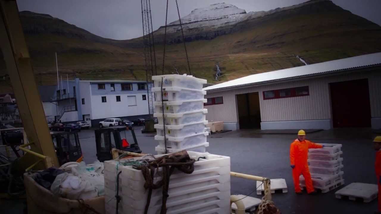 The Faroe Islands Fishing and Aquaculture Industry