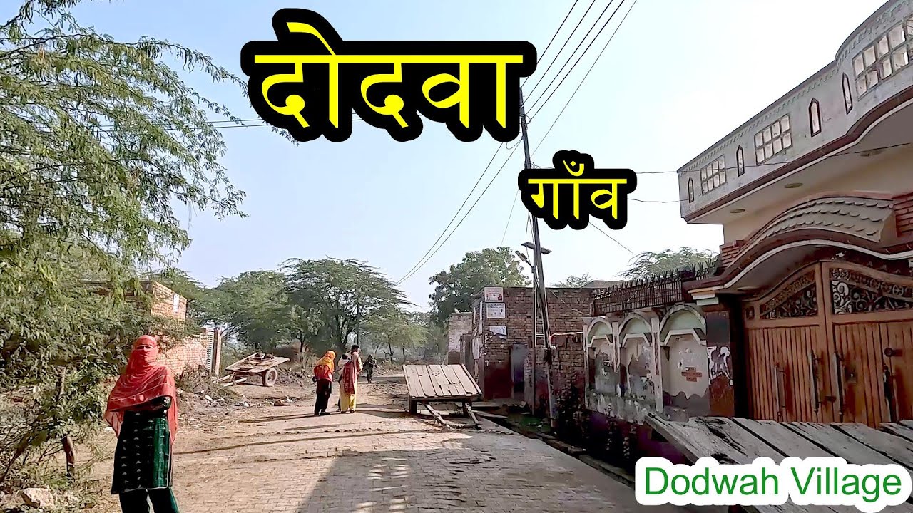 DODWAH VILLAGE दोदवा गाँव | Dodwah Village Sonipat Haryana | Dodwah Gaon Ki Video #village #sonipat