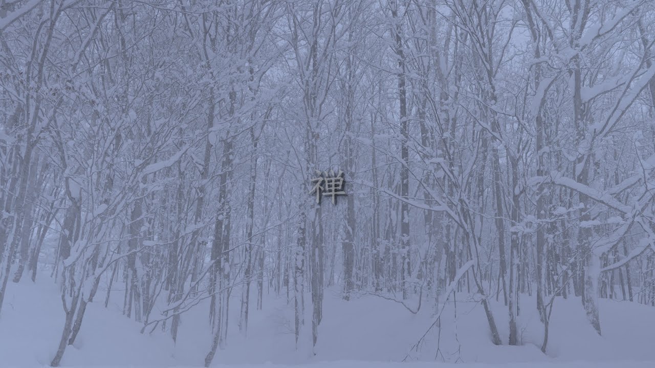 Quiet Journey | Snow-Covered Forest — Niseko, Japan [4K]
