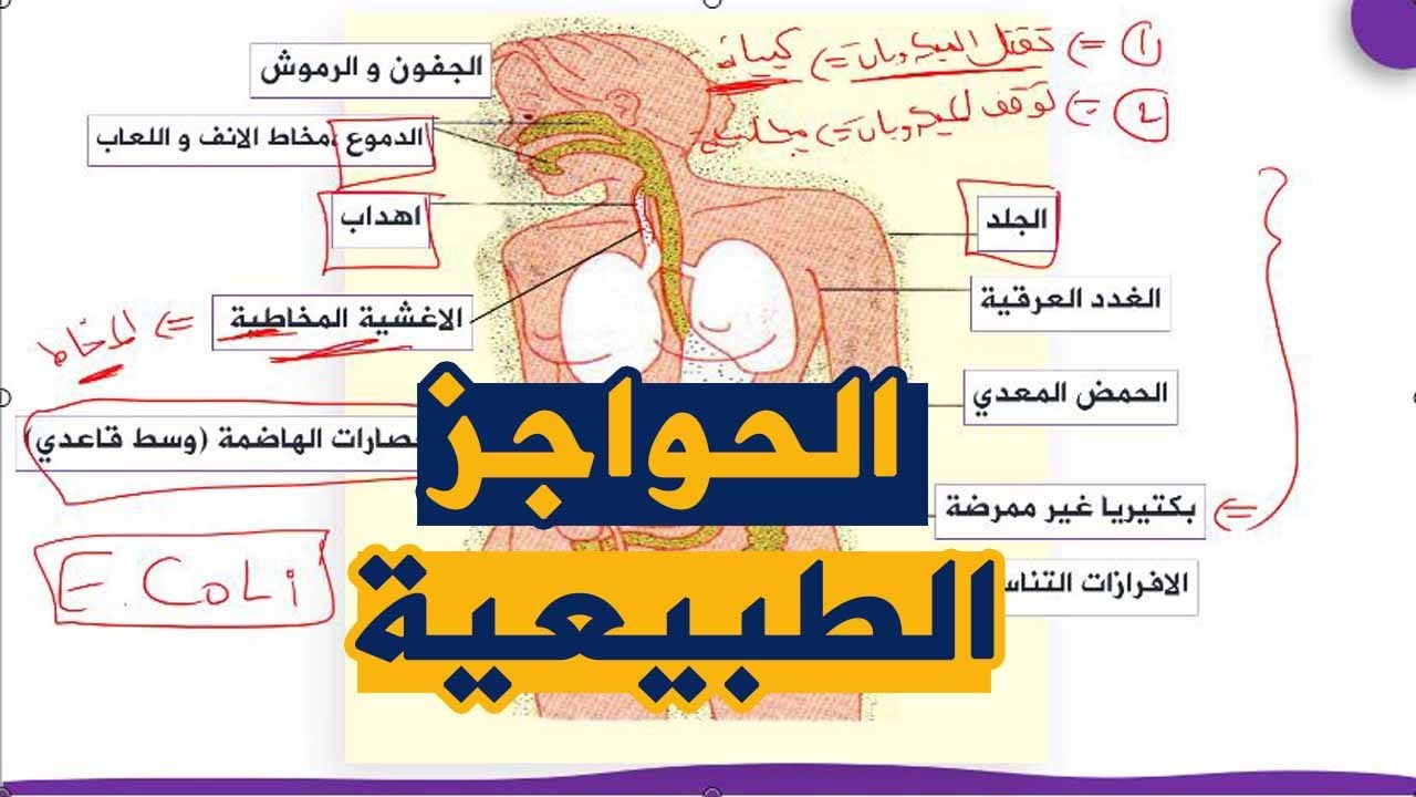 الدرس 26: الحواجز الطبيعية علوم طبيعية للسنة الرابعة متوسط الجيل الثاني