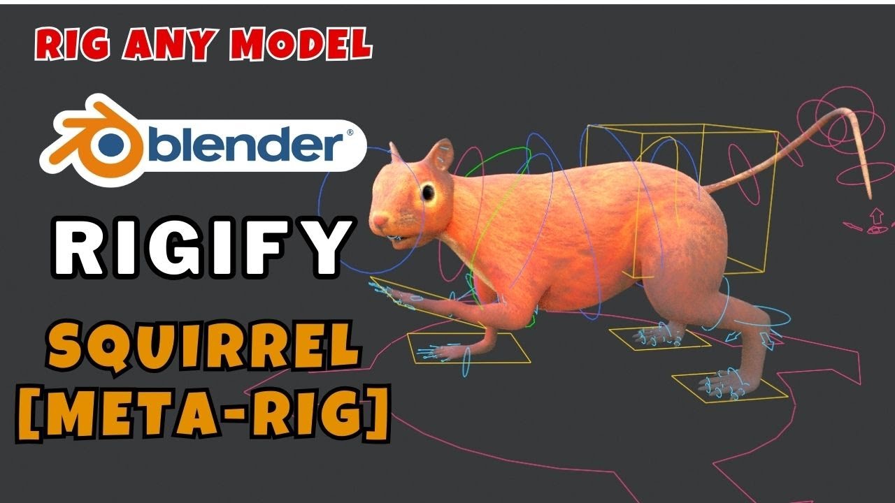 Rigify Blender: риггинг белки с помощью Rigify | Animal Meta-Rig | Риггинг животных в Blender
