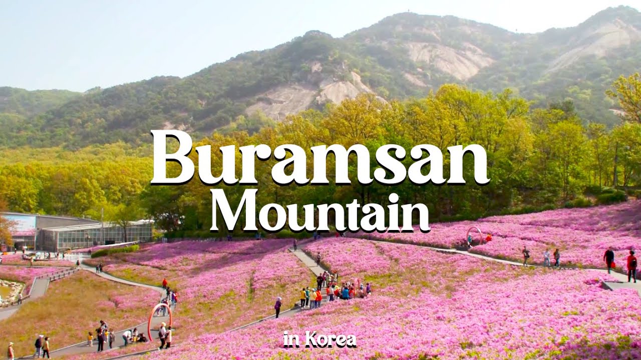 Where to hike during Spring in Korea! | K-Mountain Adventure | Ep.1 Buramsan